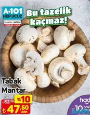 TABAK MANTAR ADET